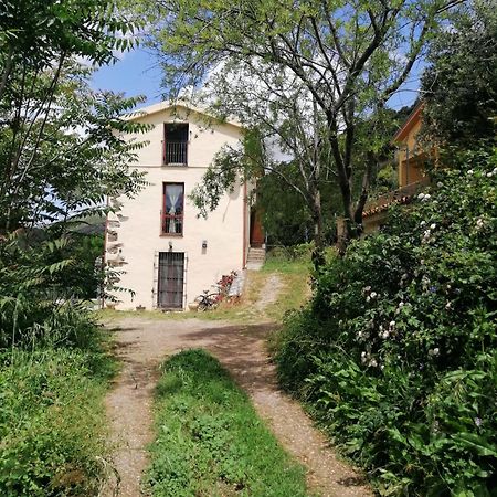 La Peonia Casa Vacanze In Montagna Prato Verde Panorama Stupendo Sardegna Seùlo Екстериор снимка